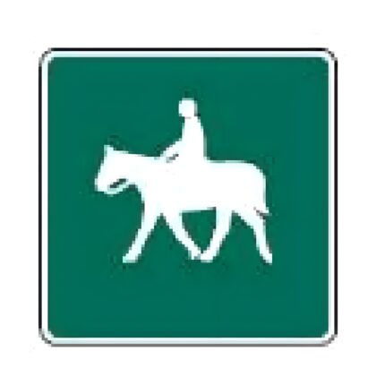 Horse Riding Allowed