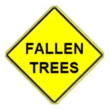 Fallen Trees