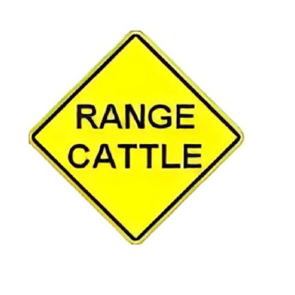 Range Cattle