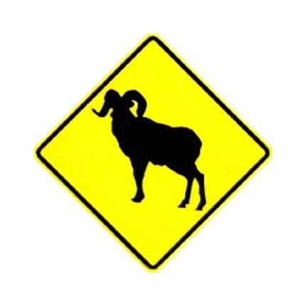 Big Horn Sheep symbol
