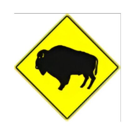 Buffalo Crossing