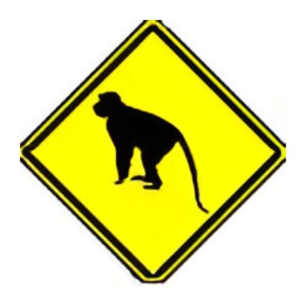 Monkey sym